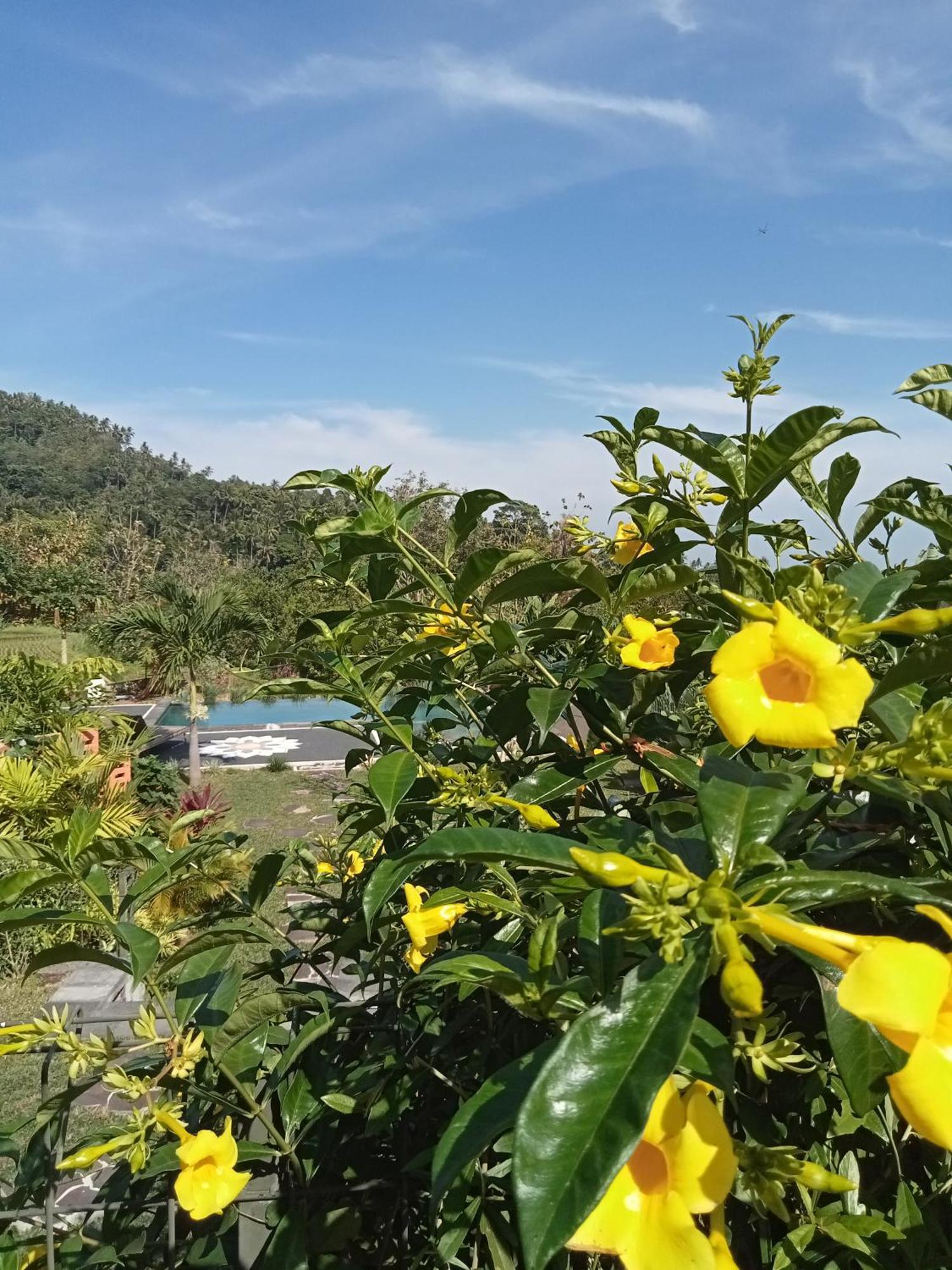 Villa Markisa Pakisan Sawan エクステリア 写真
