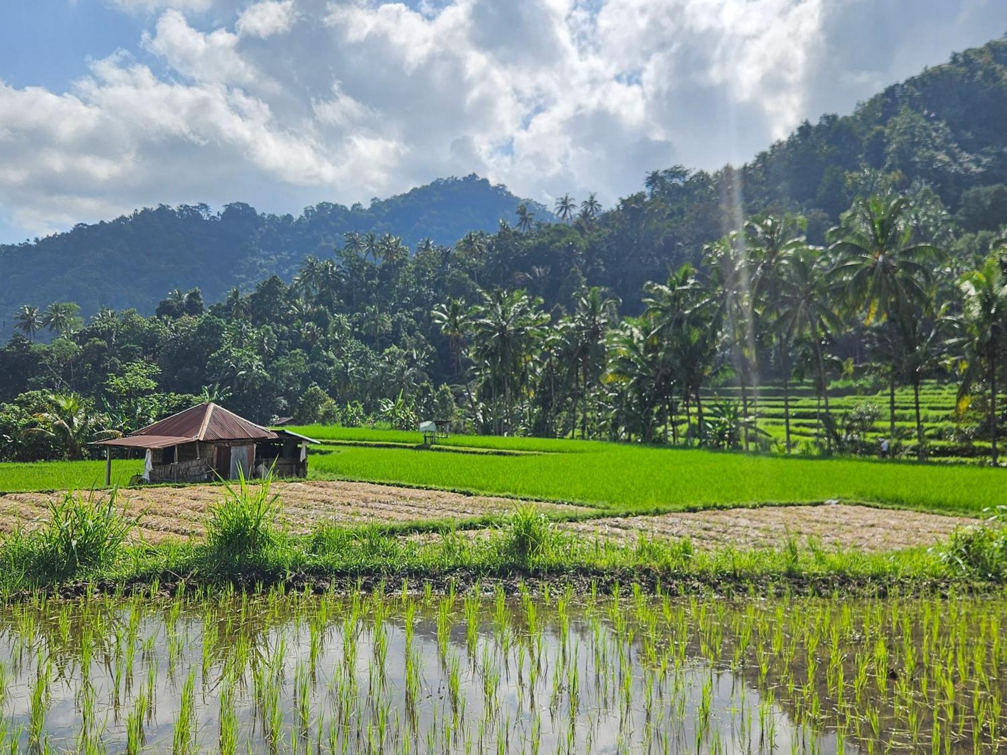 Villa Markisa Pakisan Sawan エクステリア 写真