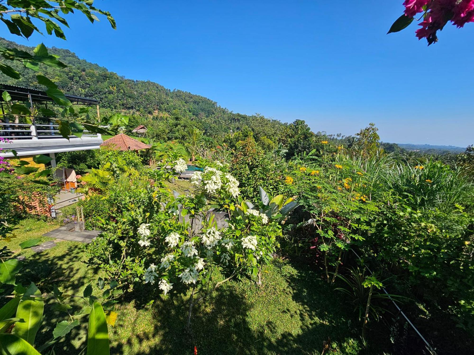 Villa Markisa Pakisan Sawan エクステリア 写真